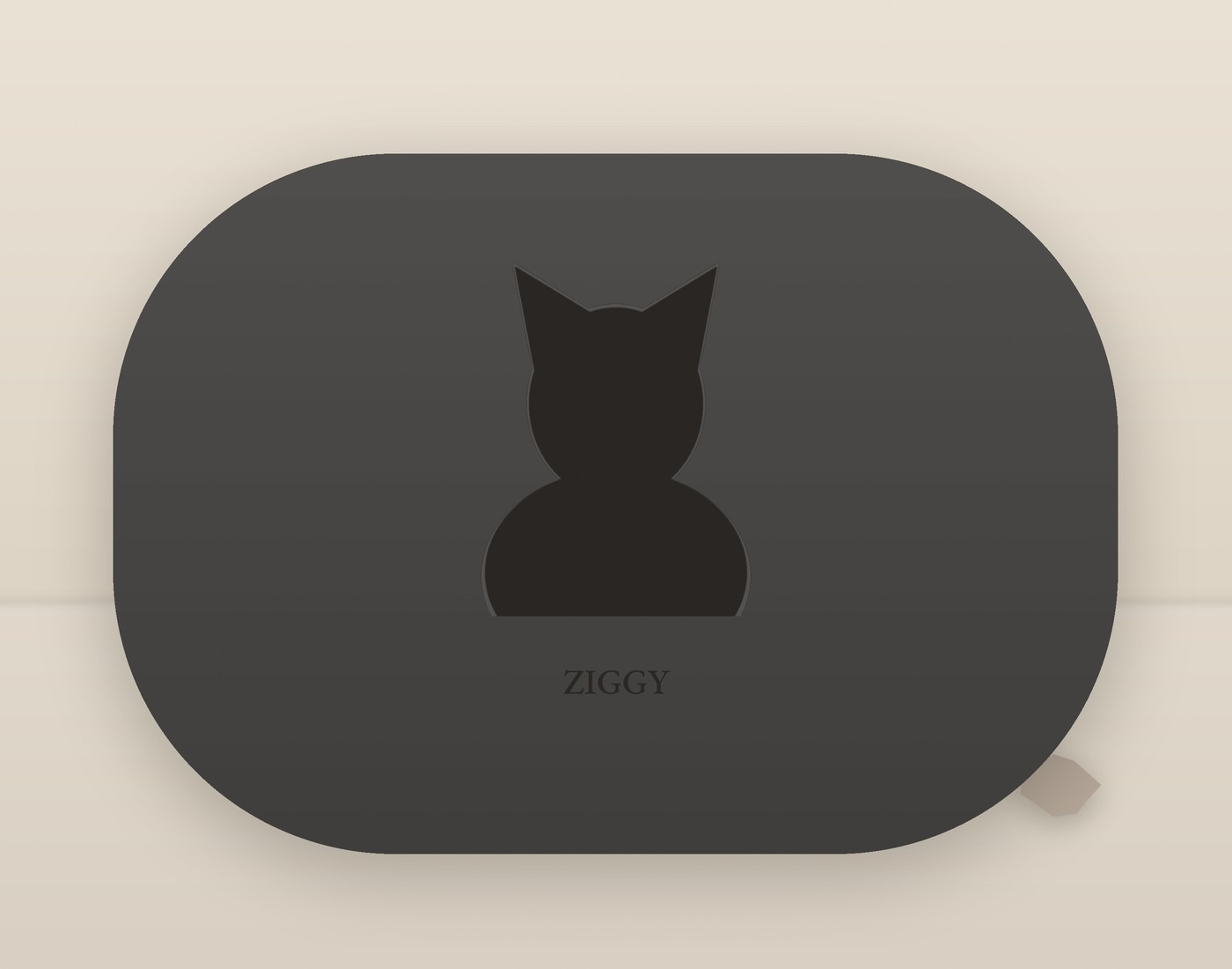 Ziggy's memorial stone