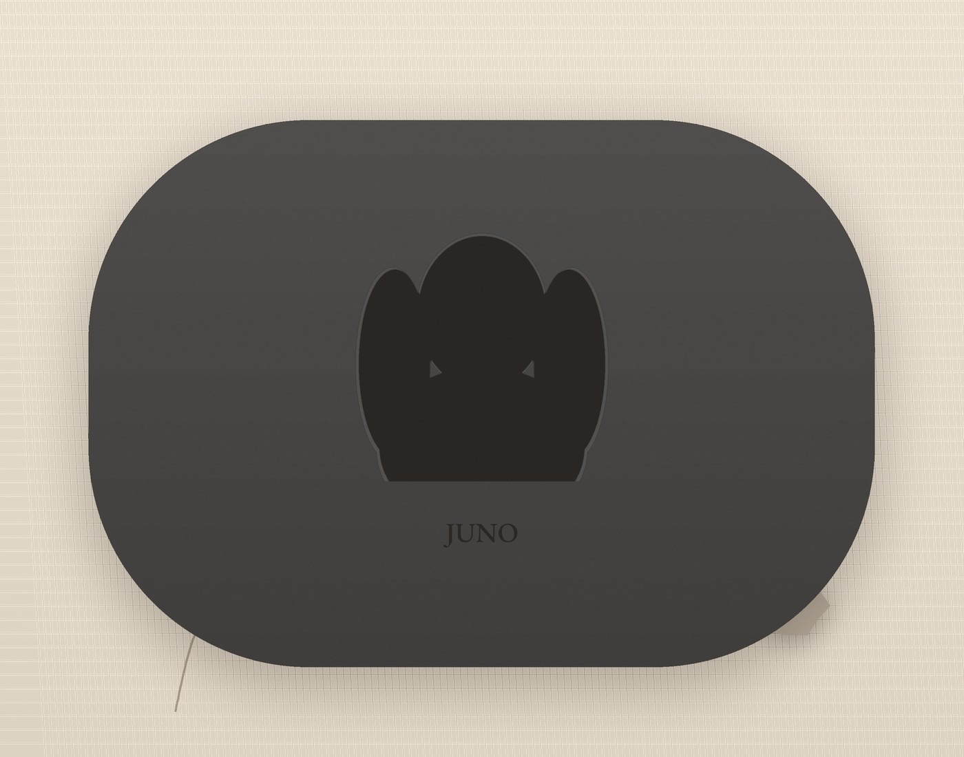 Juno's memorial stone
